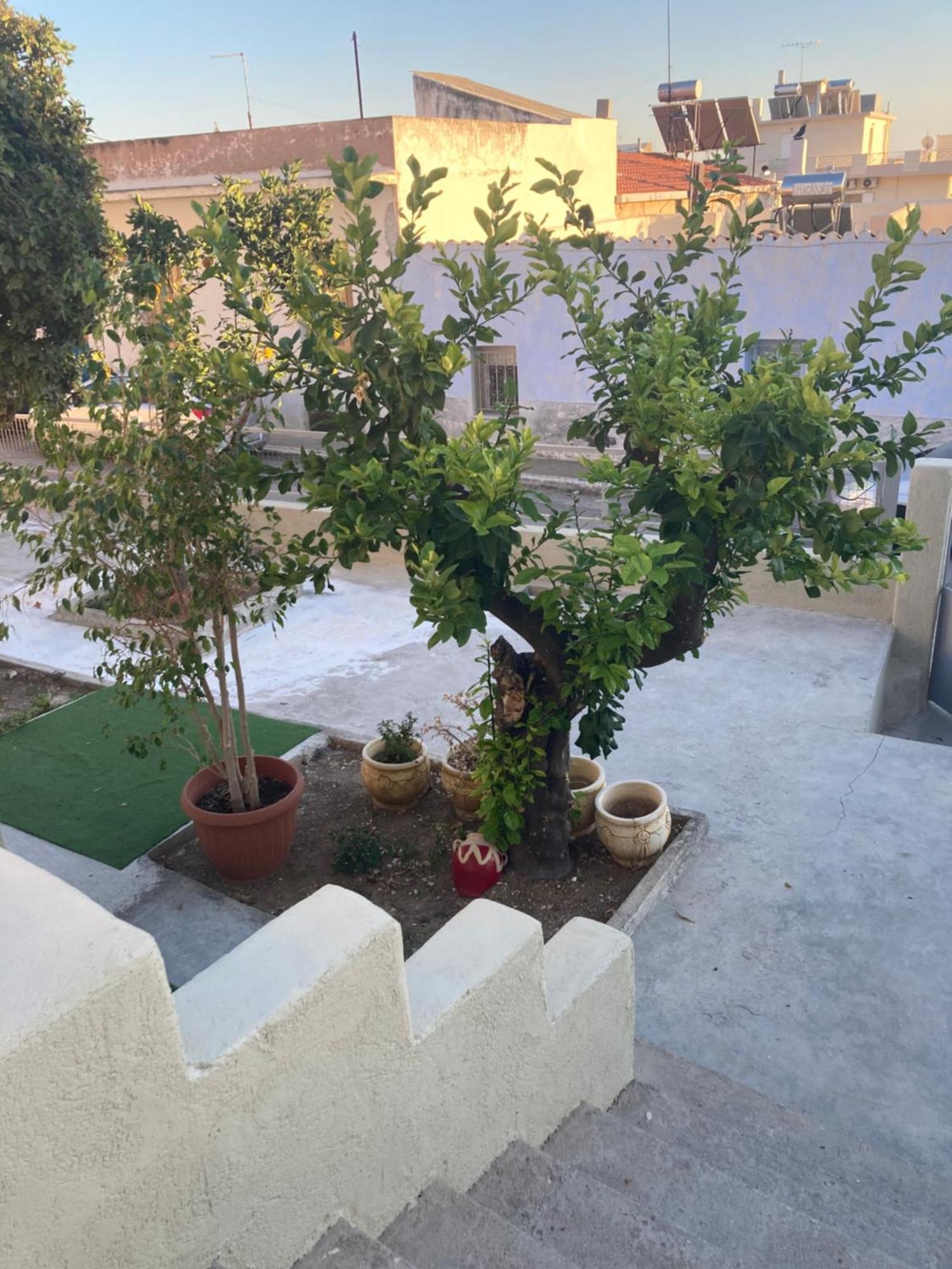 Lemonia Daire Mégara Dış mekan fotoğraf